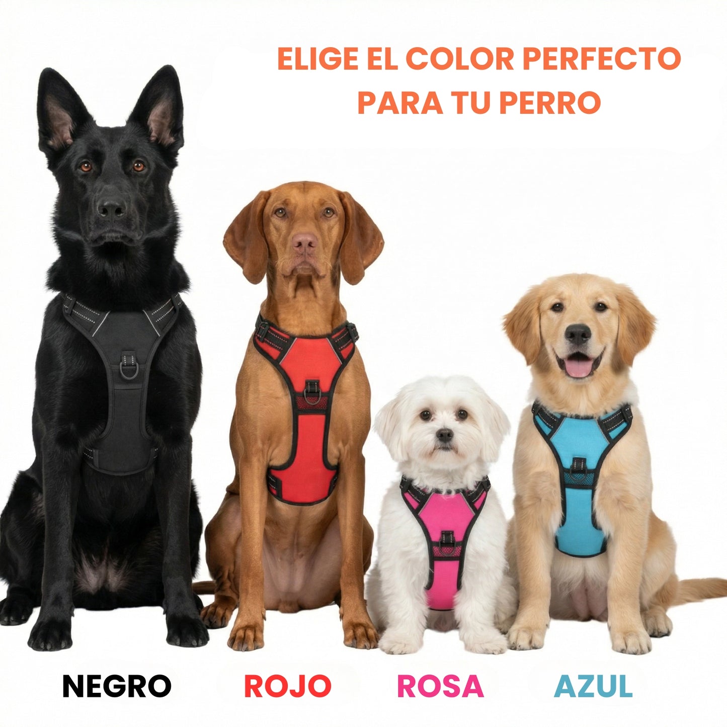 PaseoPro
