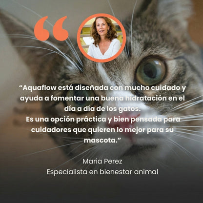 AQUAFLOW - Ayuda a tu gato a beber más cada día y cuida su bienestar de forma natural
