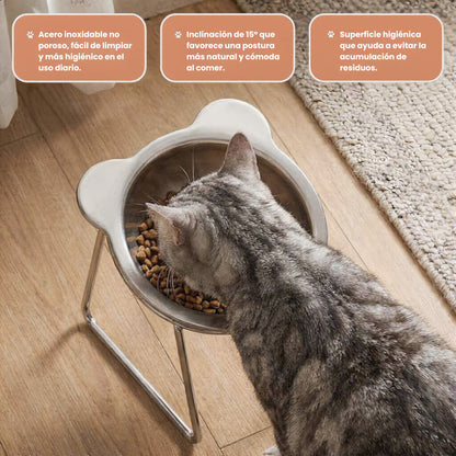 Cuenco Elevado para Gatos
