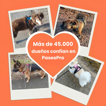 PaseoPro
