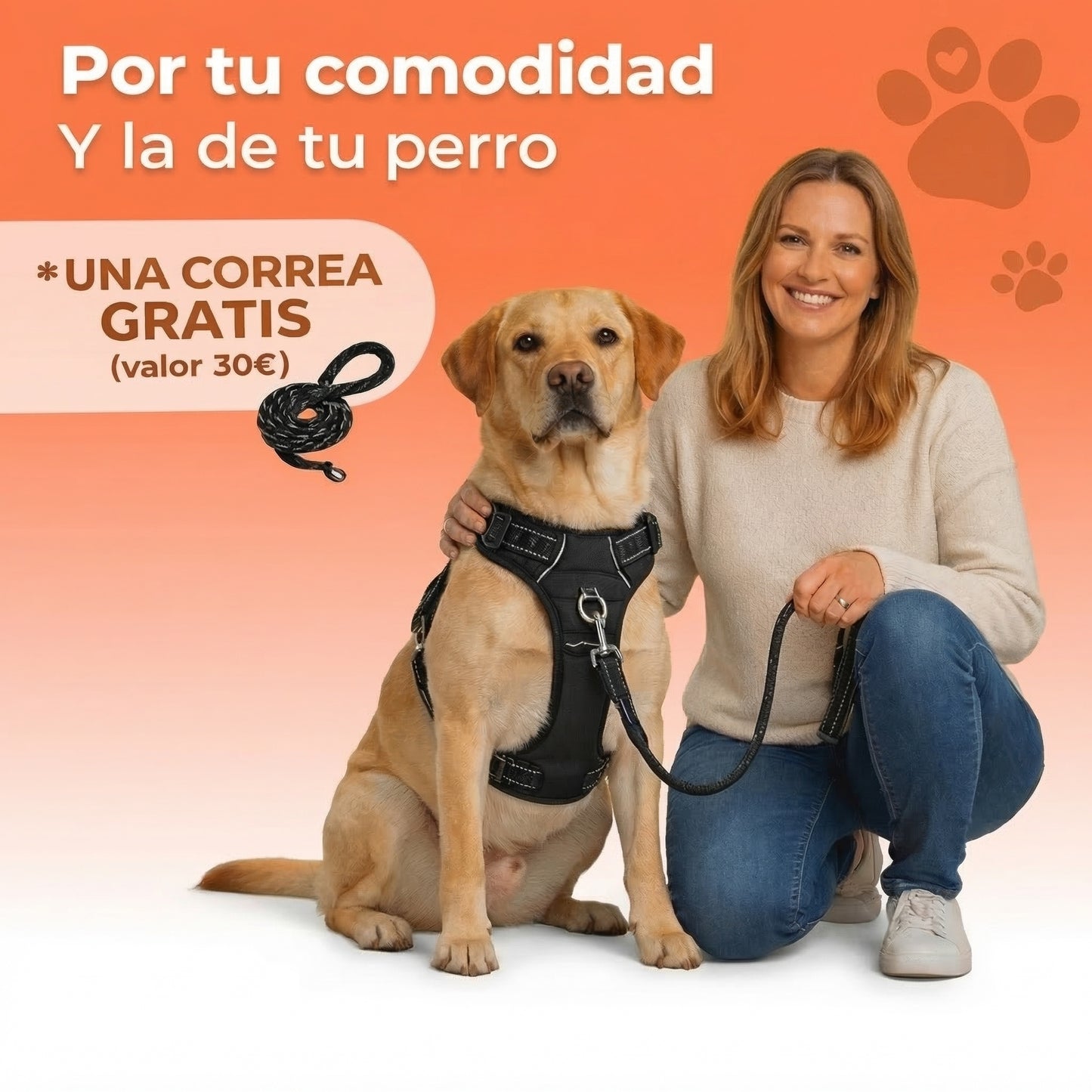 PaseoPro