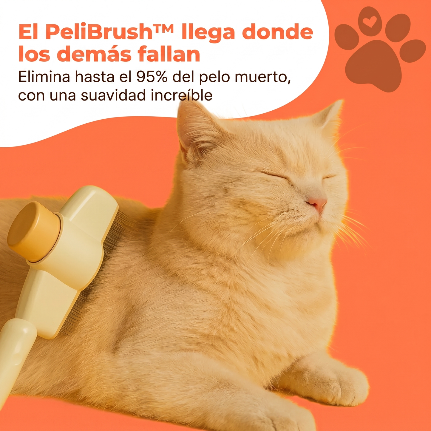 Pelibrush