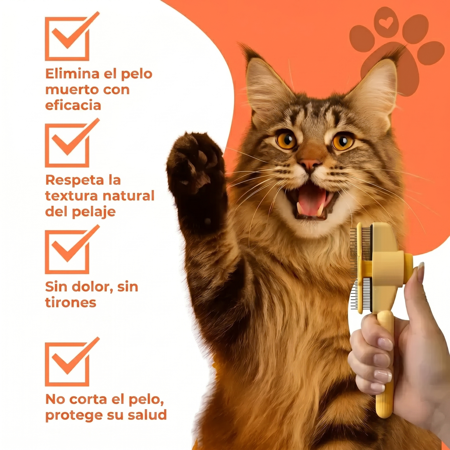 Pelibrush