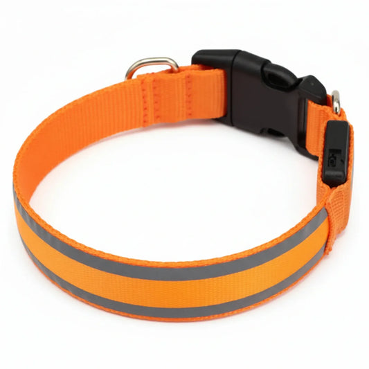 Collar Led