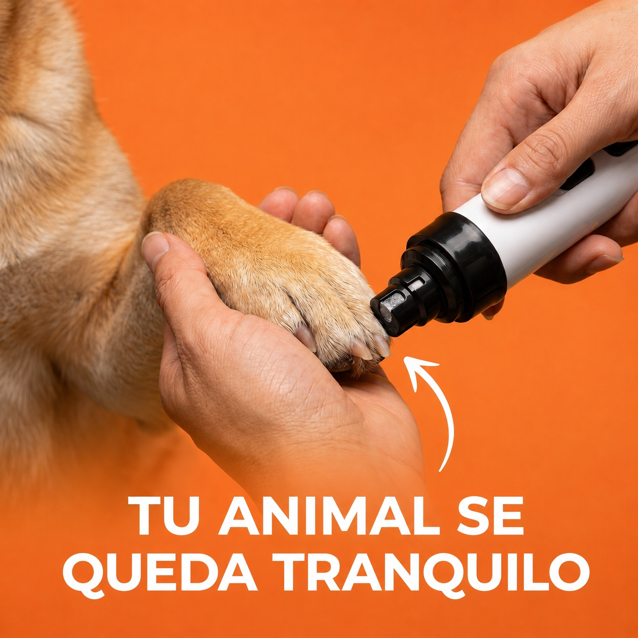 SilentPaw
